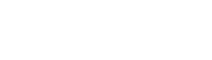 vyse_dev